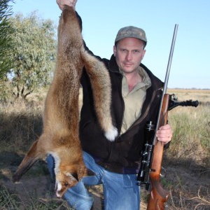 Foxes are to be officially declared a pest species across New South Wales - at long last (image: Martin Auldist).